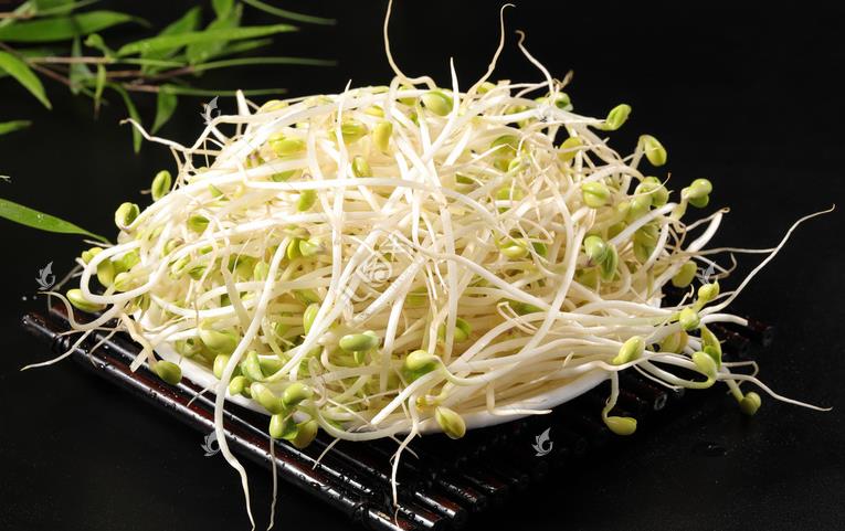無公害綠色豆芽，怎么生產(chǎn)出來的？全套生產(chǎn)過程如此方便智能